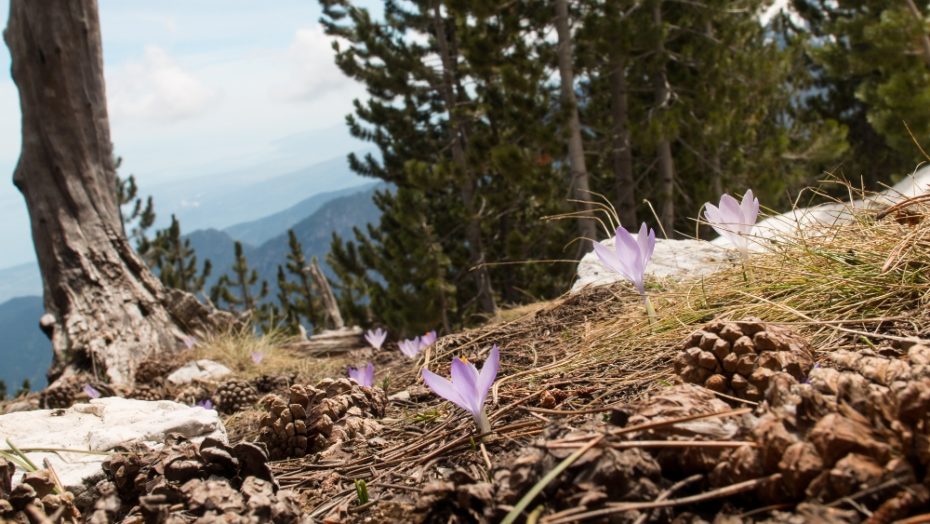 , 7 questions about Mt. Olympus | Buzz | The Official Blog of visitgreece.gr