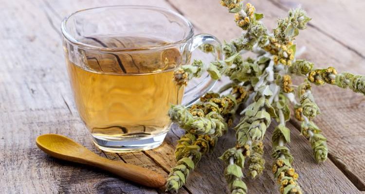 , Greek Mountain Tea: Medicine and Elixir since the Ancient Times | GreekReporter.com