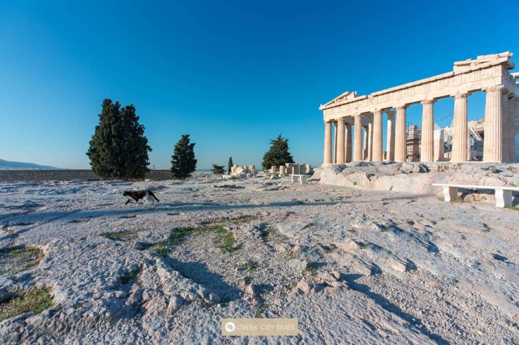, Interesting facts about the Acropolis, the crowning jewel of Greece&#8217;s capital | Greek City Times