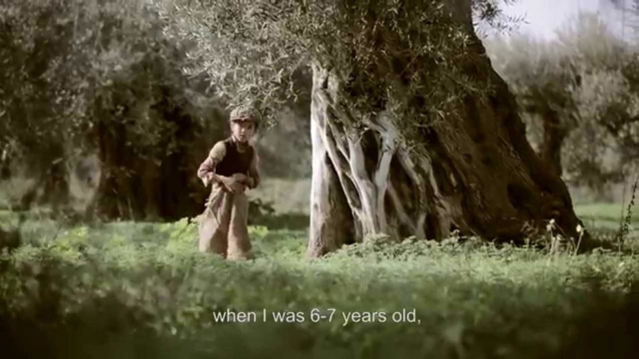 , Touching short film celebrates Greece’s ever-lasting connection with Olive trees (VIDEO) – Greek City Times